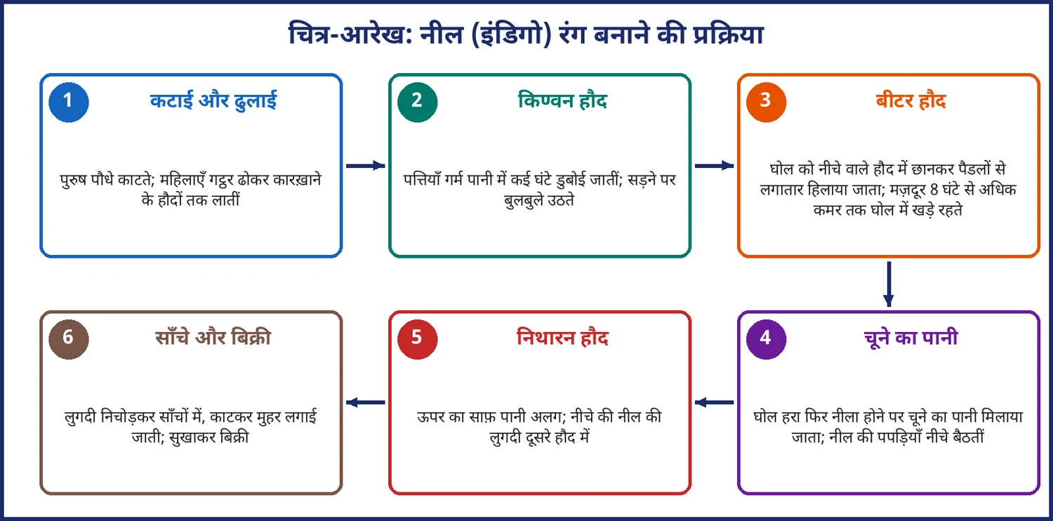 चित्र 4.6: नील रंग बनाने की प्रक्रिया: खेत से बिक्री तक