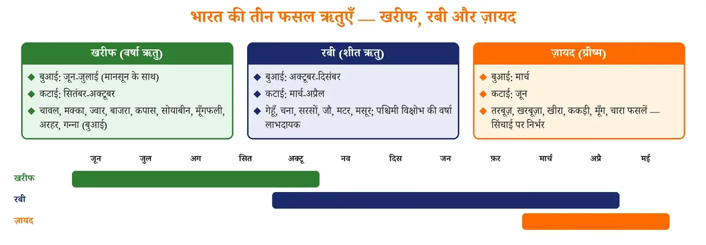 चित्र