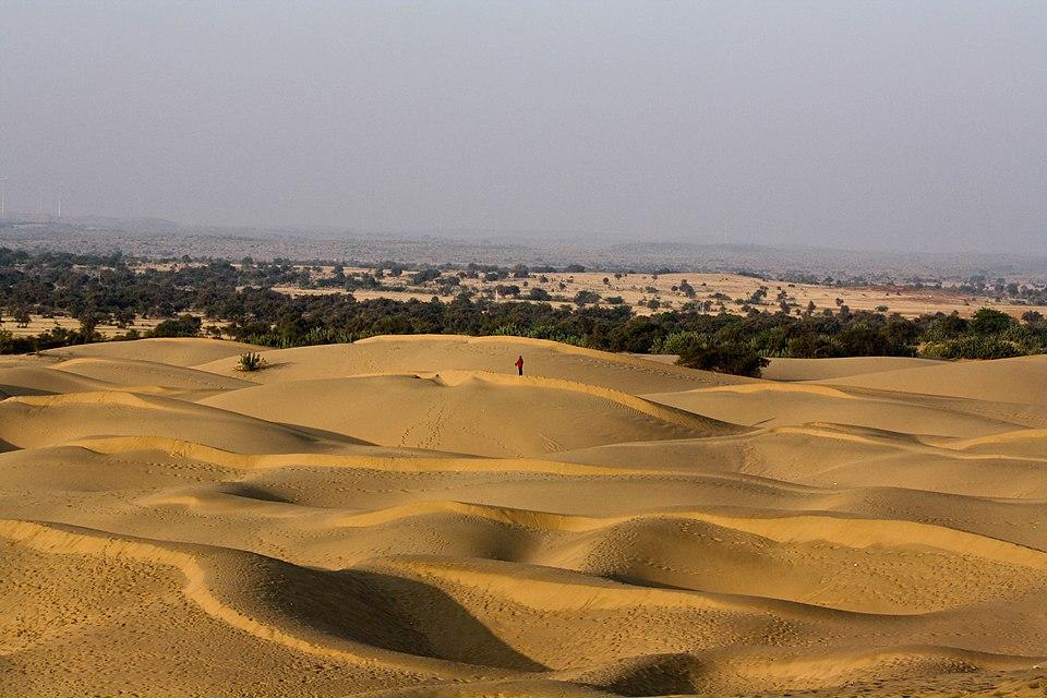 जीव विज्ञान चित्र