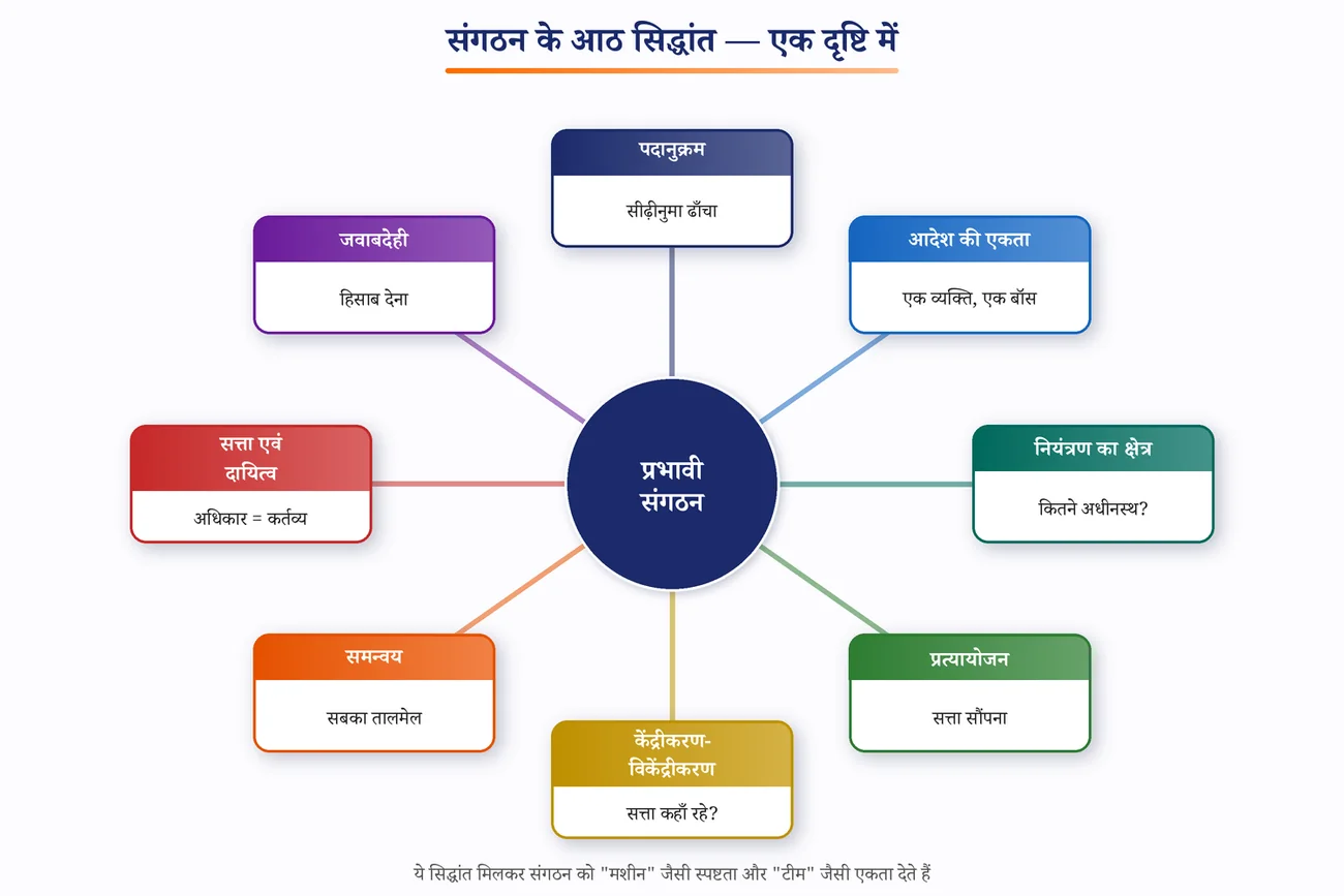 चित्र 3.1: संगठन के आठ सिद्धांत — पाठ्यक्रम के अनुसार