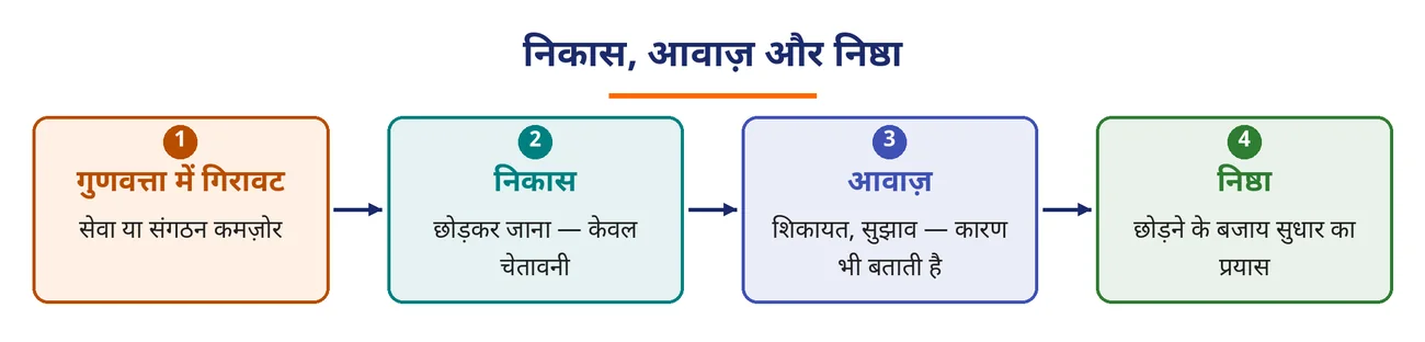 चित्र 8.10: निकास, आवाज़ और निष्ठा