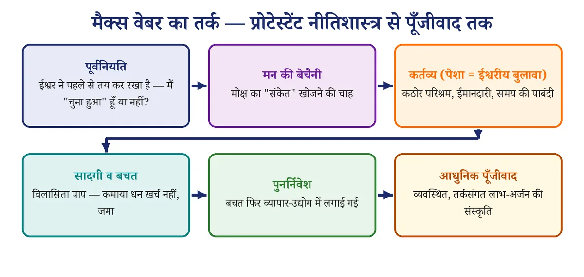चित्र 4: वेबर का तर्क — पूर्वनियति से आधुनिक पूँजीवाद तक की कड़ी